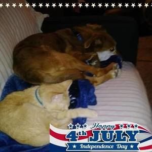 Meet your Posher, Cleona